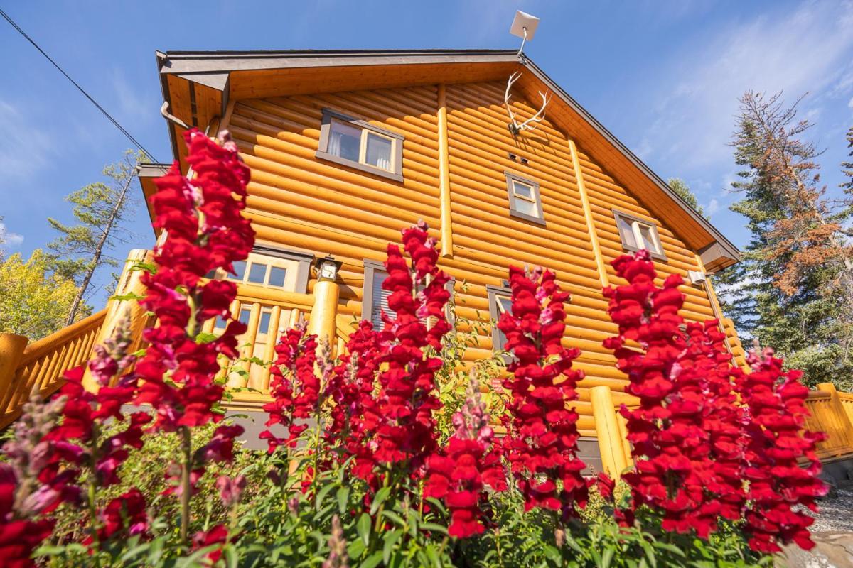 Castle Mountain Chalets 外观 照片